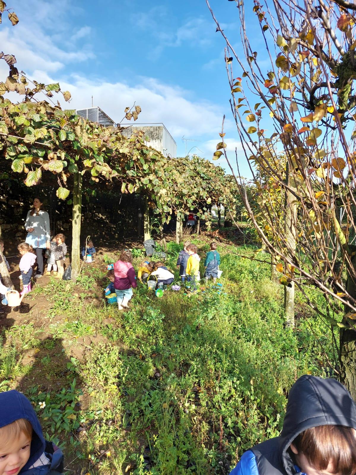 Farm Day - Creche